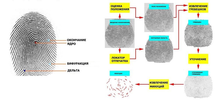 Безопасное хранение биометрических данных