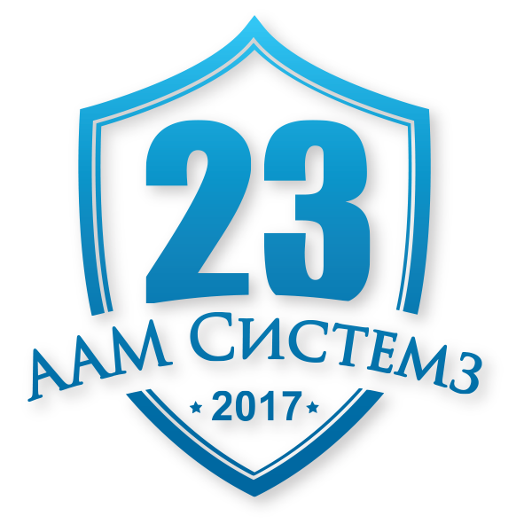 ААМ Системз 23 года